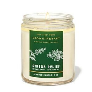EUCALYPTUS SPEARMINT SINGLE WICK CANDLE